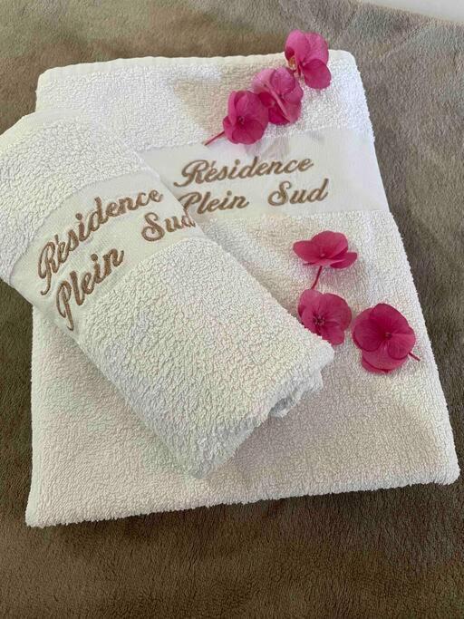 T2 - Plein Sud Apartment Cabourg