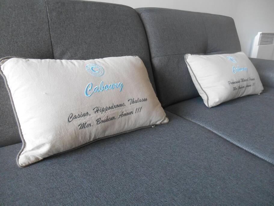T2 - Plein Sud Apartment Cabourg